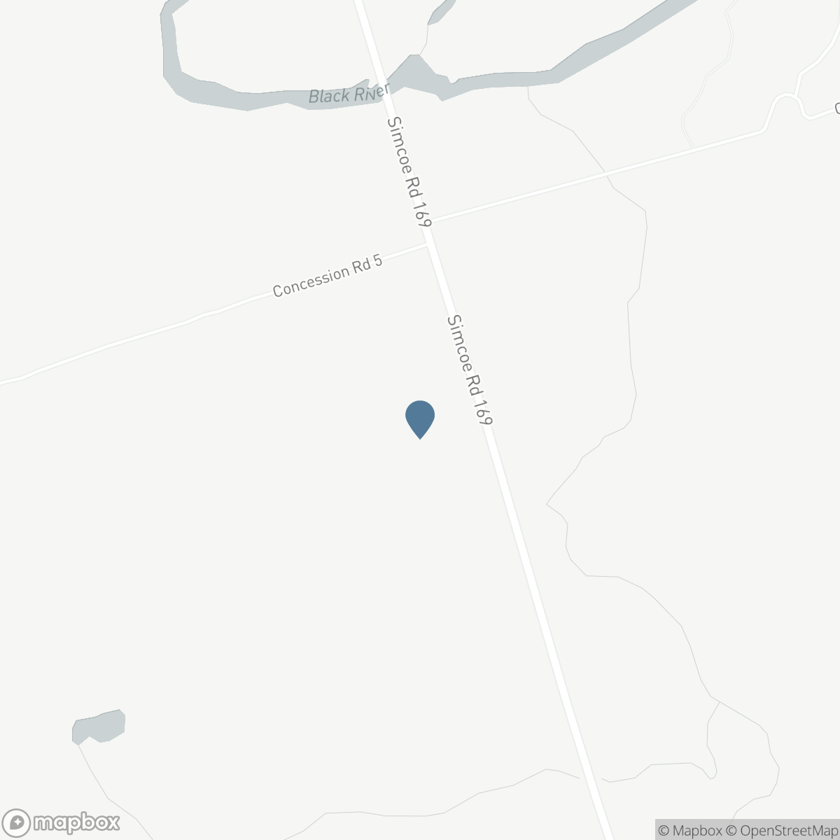 8299 COUNTY ROAD 169, Washago, Ontario L0K 2B0